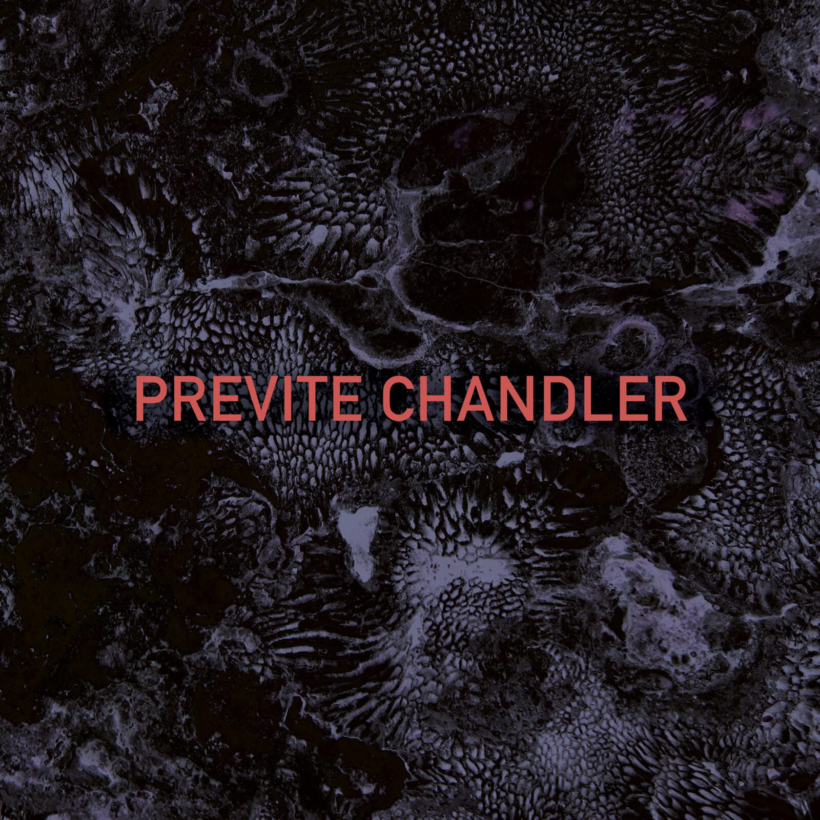 Picture of Previte Chandler - Previte Chandler