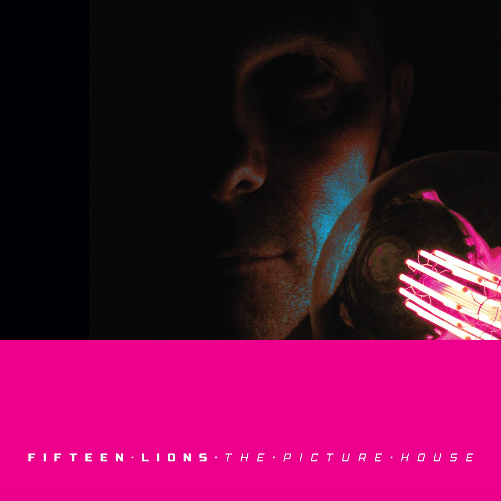 Picture of Fifteen Lions - The Picture House