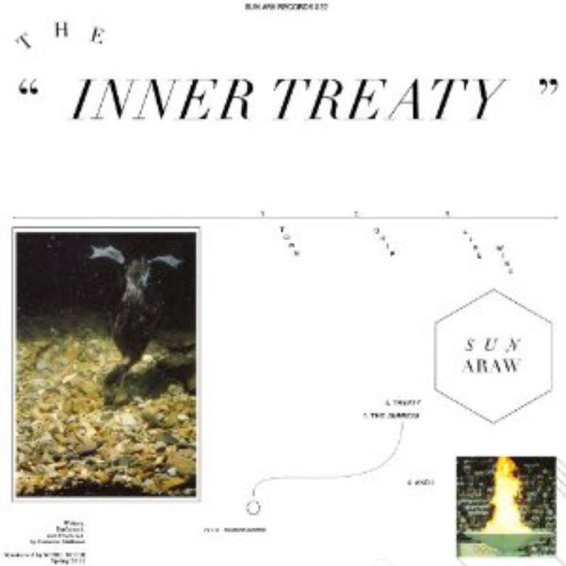 Picture of Sun Araw - The Inner Treaty