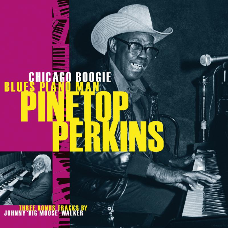 Picture of Pinetop Perkins - Chicago Boogie Blues Piano Man