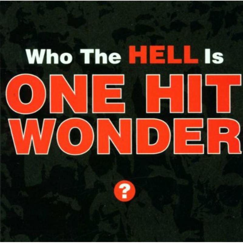 Picture of One Hit Wonder - Who The Hell Is One Hit Wonder?