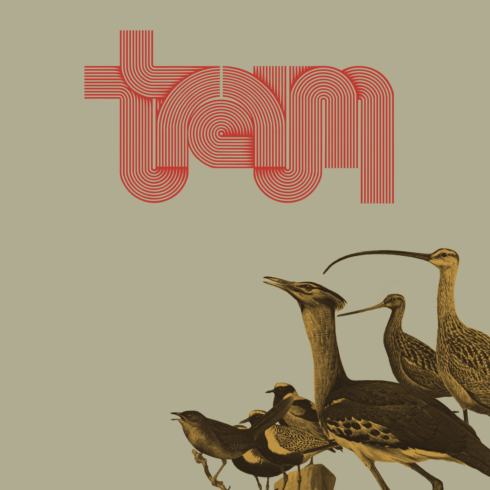 Picture of Traum - Traum