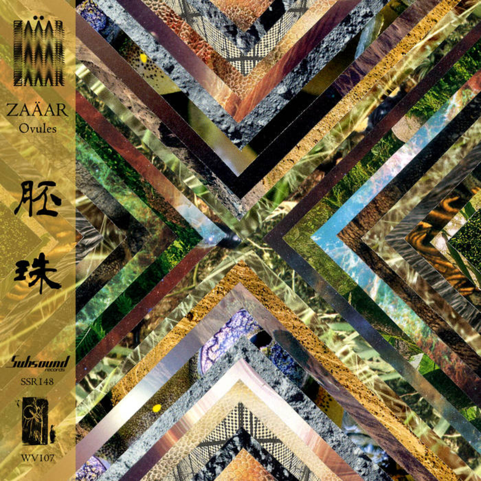 Picture of Zaaar - Ovules