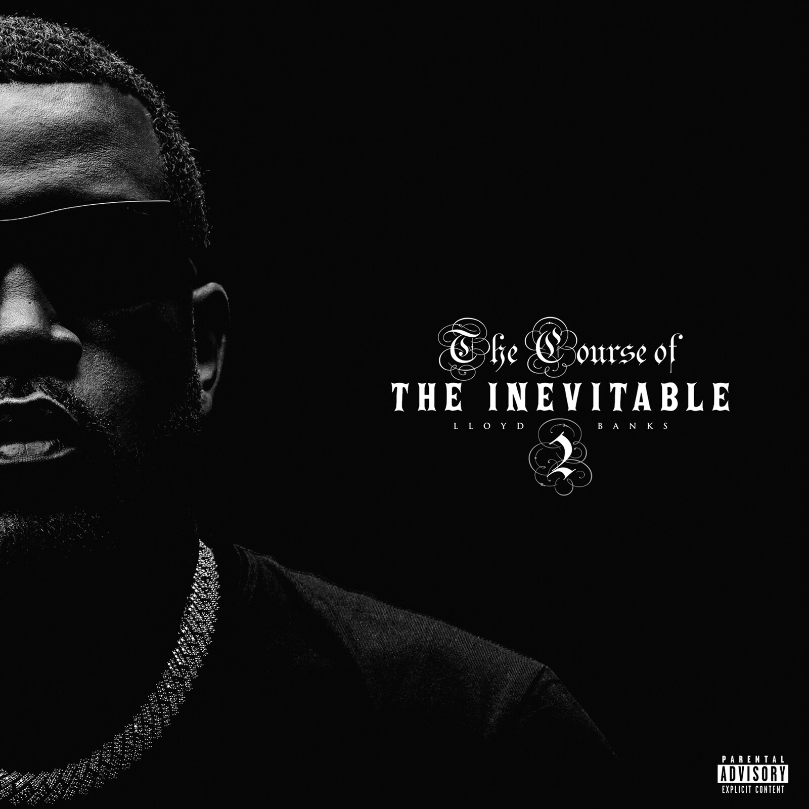 Picture of Lloyd Banks - The Course of The Inevitable 2