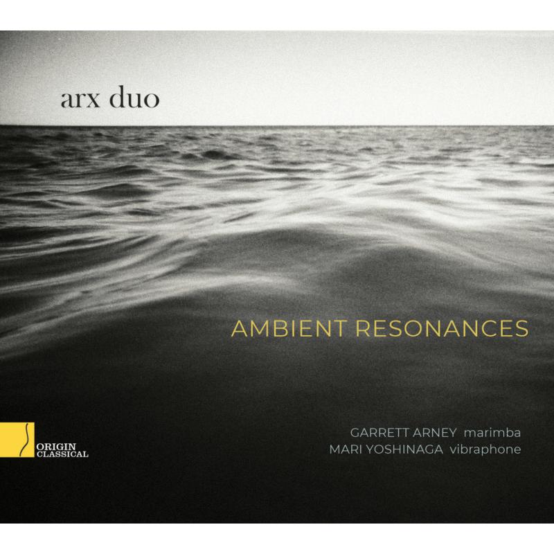 Picture of arx duo - Ambient Resonances
