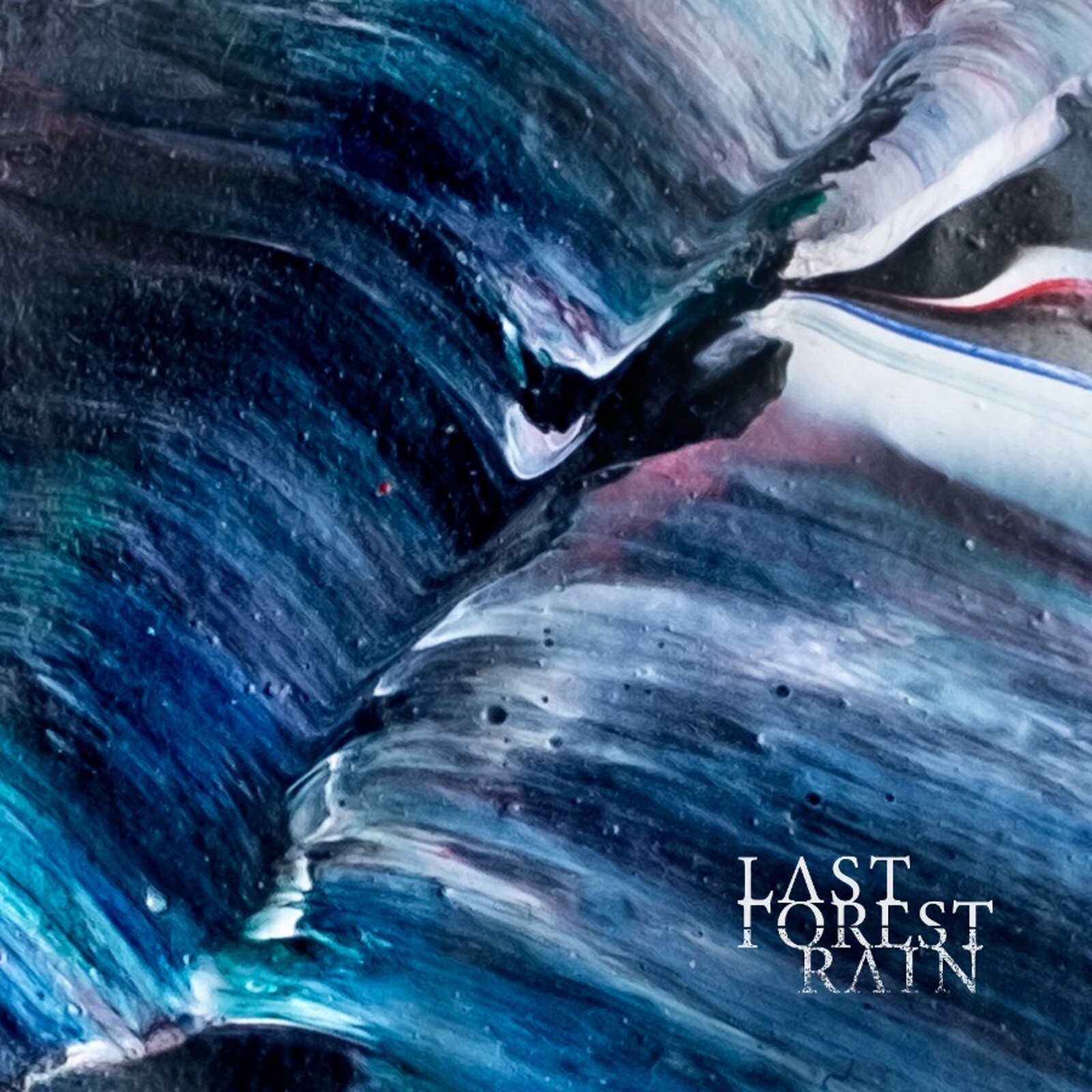 Picture of Last Forest Rain - Last Forest Rain