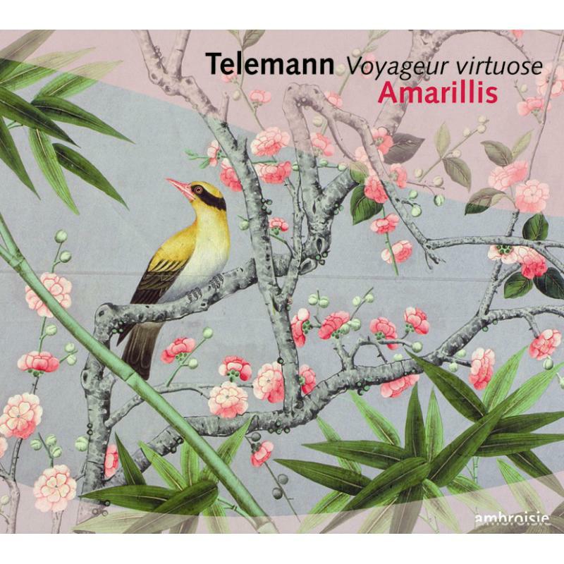 Picture of AMARILLIS - TELEMANN: VOYAGEUR VIRT