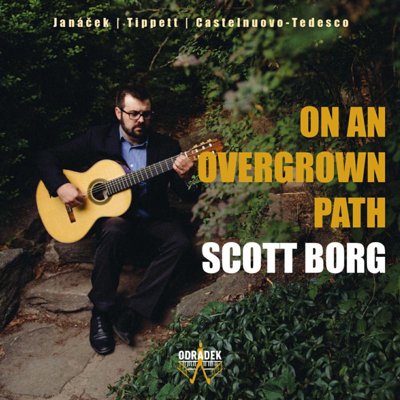 Picture of Scott Borg - On An Overgrown Path