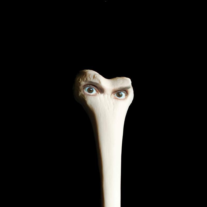 Picture of Juana Molina - Halo