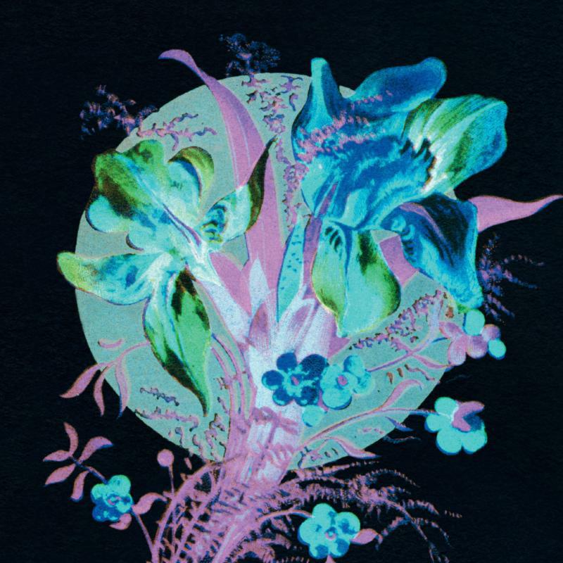 Picture of Hannu Karjalainen - A Handful Of Dust Is A Desert