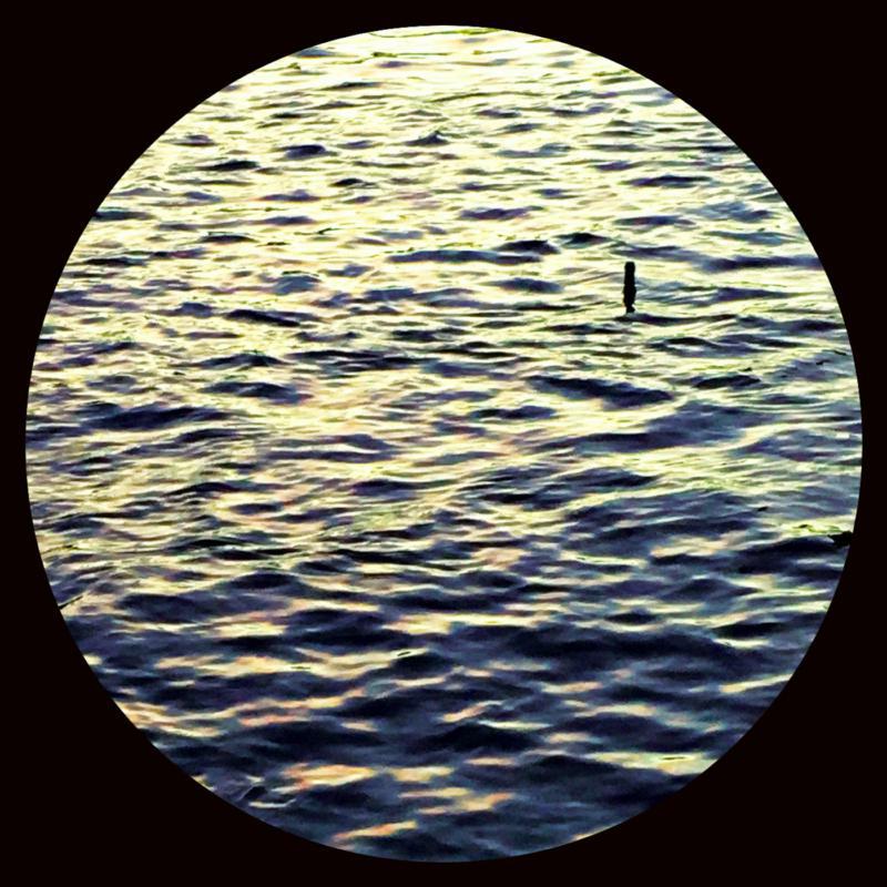 Picture of Ant Orange - Right There