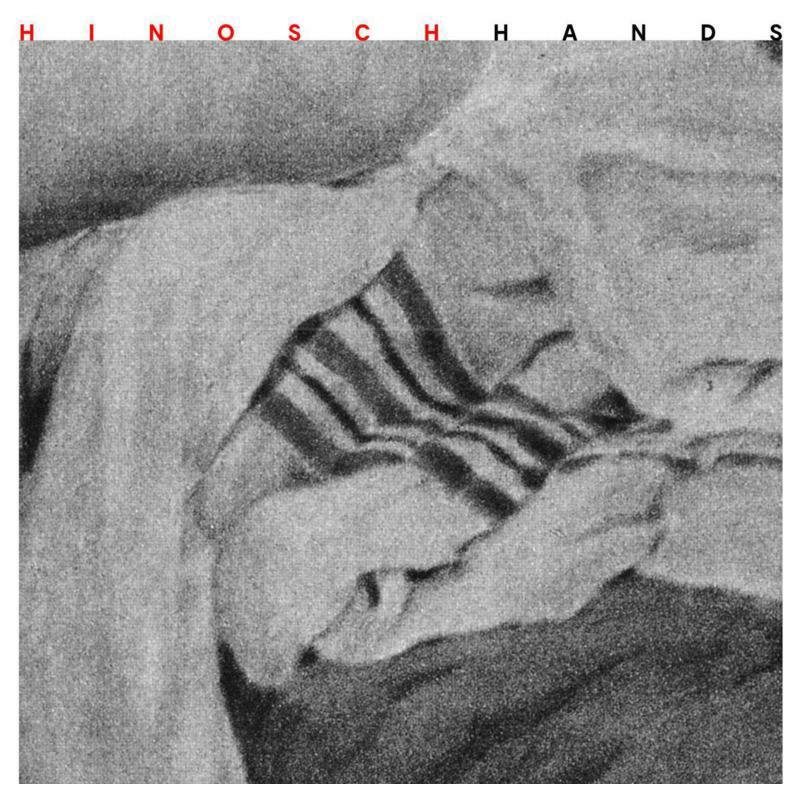 Picture of Hinosch - Hands