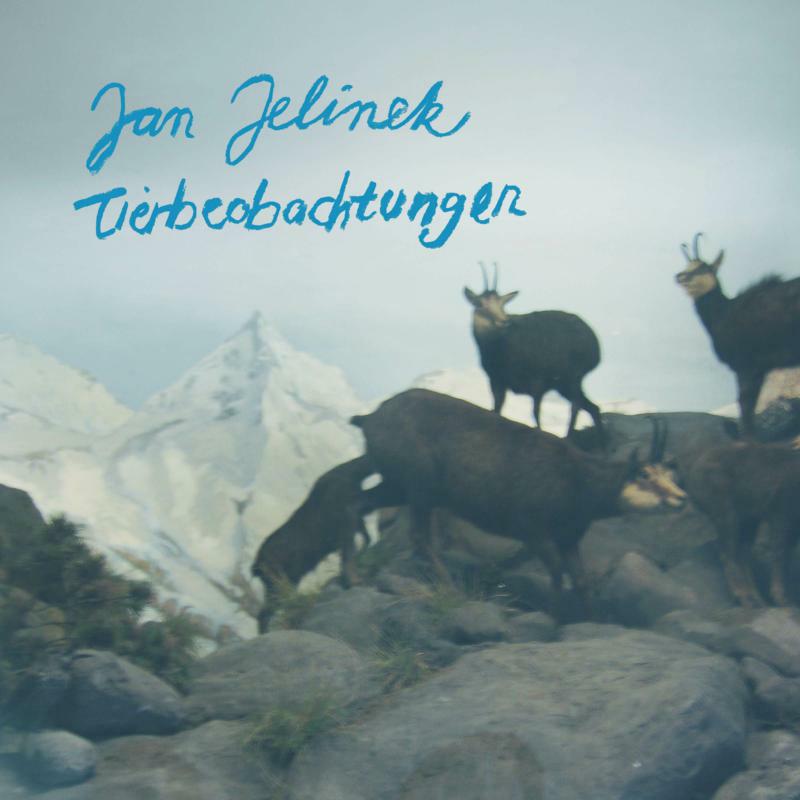 Picture of Jan Jelinek - Tierbeobachtungen