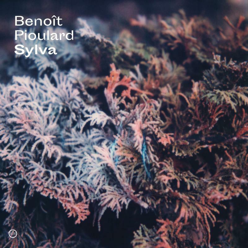 Picture of Benoit Pioulard - Sylva