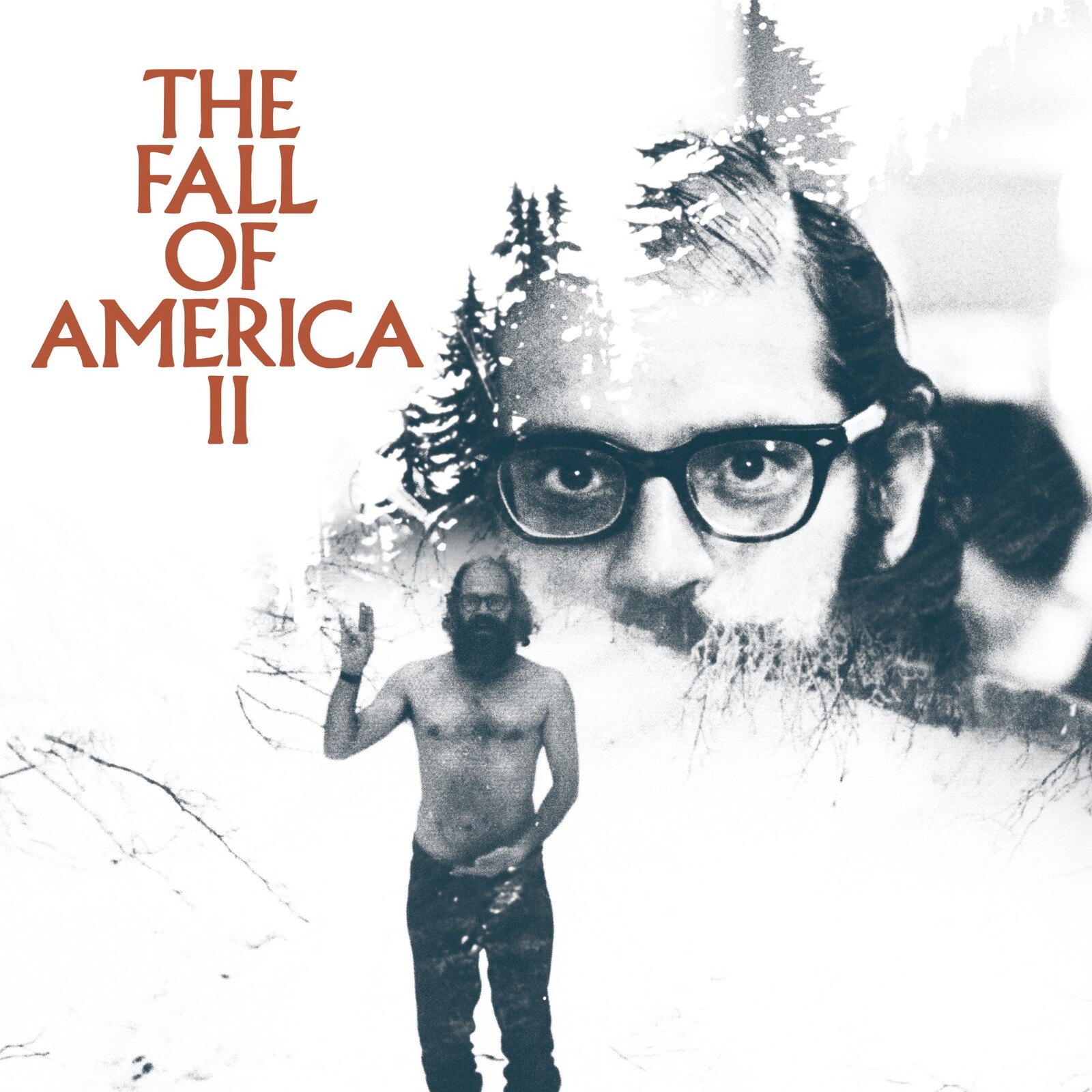 Picture of Various Artists - Allen Ginsberg's The Fall Of America Vol II
