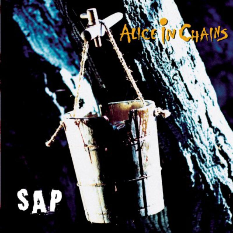 Picture of Alice In Chains - Sap