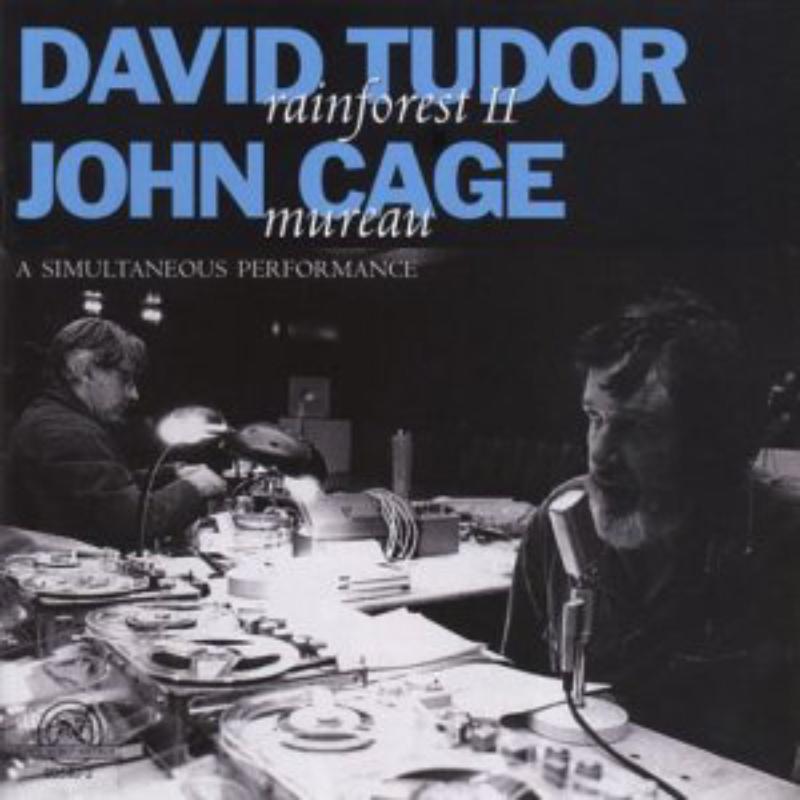 Picture of Tudor: Rainforest II, Cage: Mureau - Tudor: Rainforest II, Cage: Mureau
