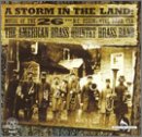 Picture of A Storm in the Land, Musc of The 20th N.C. Regimen - A Storm in the Land, Musc of The 20th N.C. Regimen