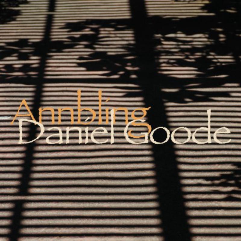 Picture of The Flexible Orchestra - Annbling
