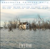 Picture of Zwerm  (Guitar Quartet) - Underwater Princess Waltz