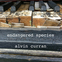 Picture of Alvin Curran, Yamaha Disklavier - Endangered Species