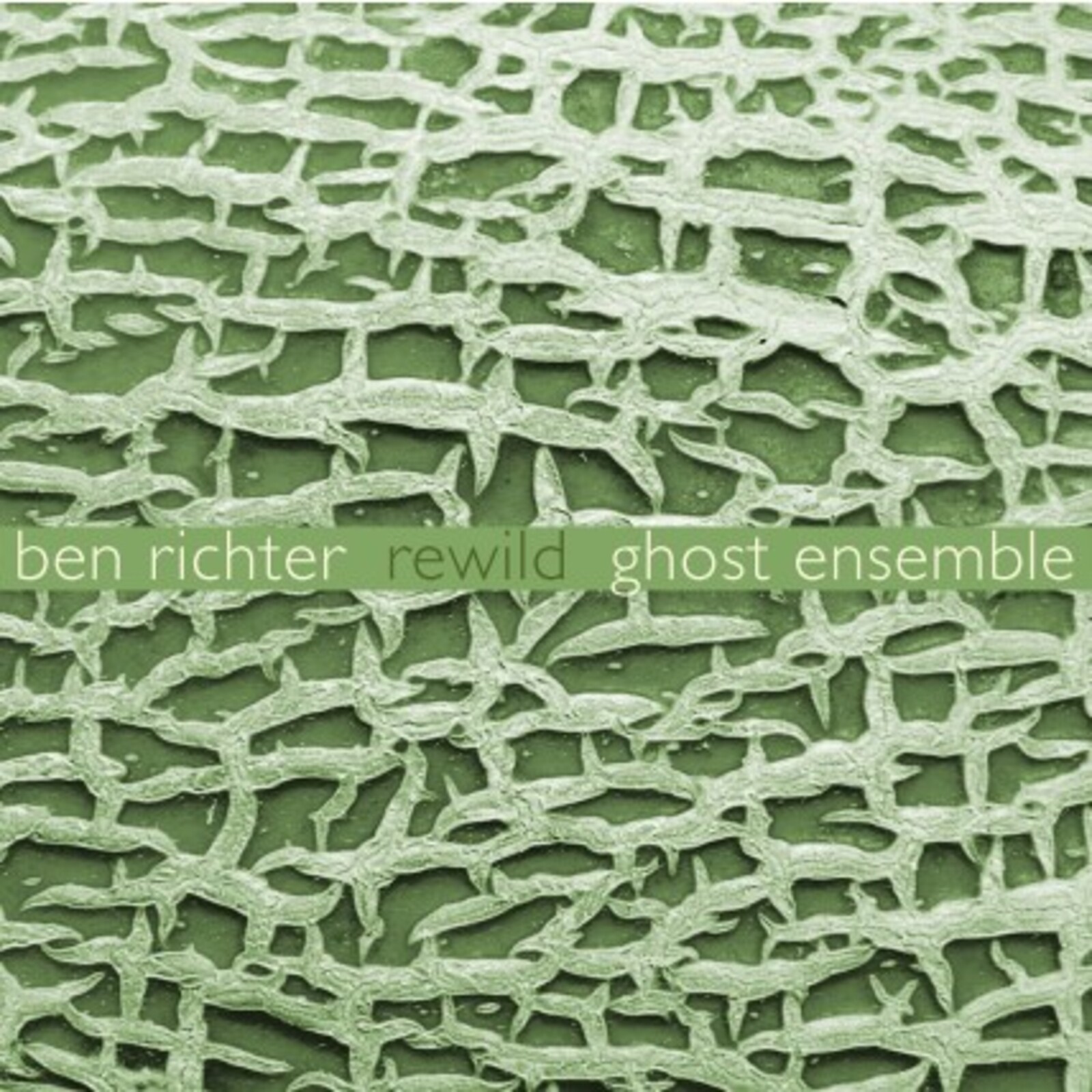 Picture of Ghost Ensemble: Margaret Lancaster, Sky Macklay, Ben Richter, Chris Nappi, Lucia Helen Stavros, Martine Thomas, Tyler J. Borden, James Ilgenfritz, Kyle Motl, Carl Bettendorf - Ben Richter Rewild