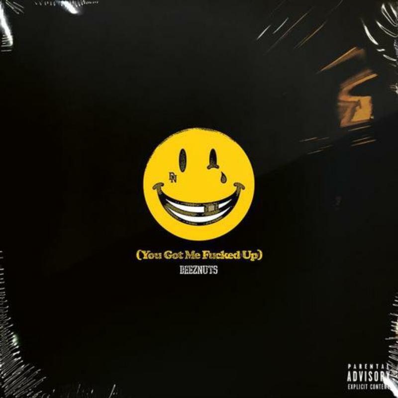 Picture of Deez Nuts - You Got Me Fucked Up