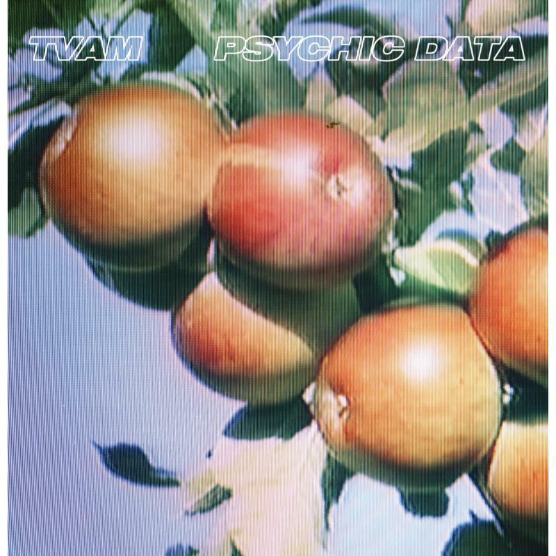 Picture of TVAM - Psychic Data