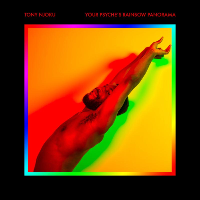 Picture of Tony Njoku - Your Psyche's Rainbow Panorama