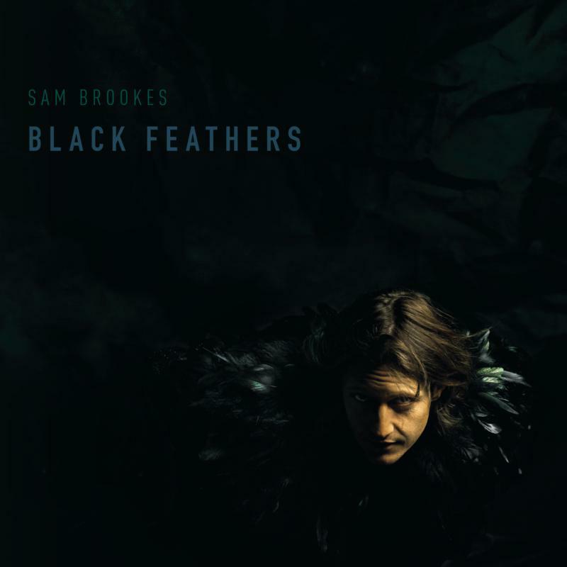 Picture of Sam Brookes - Black Feathers
