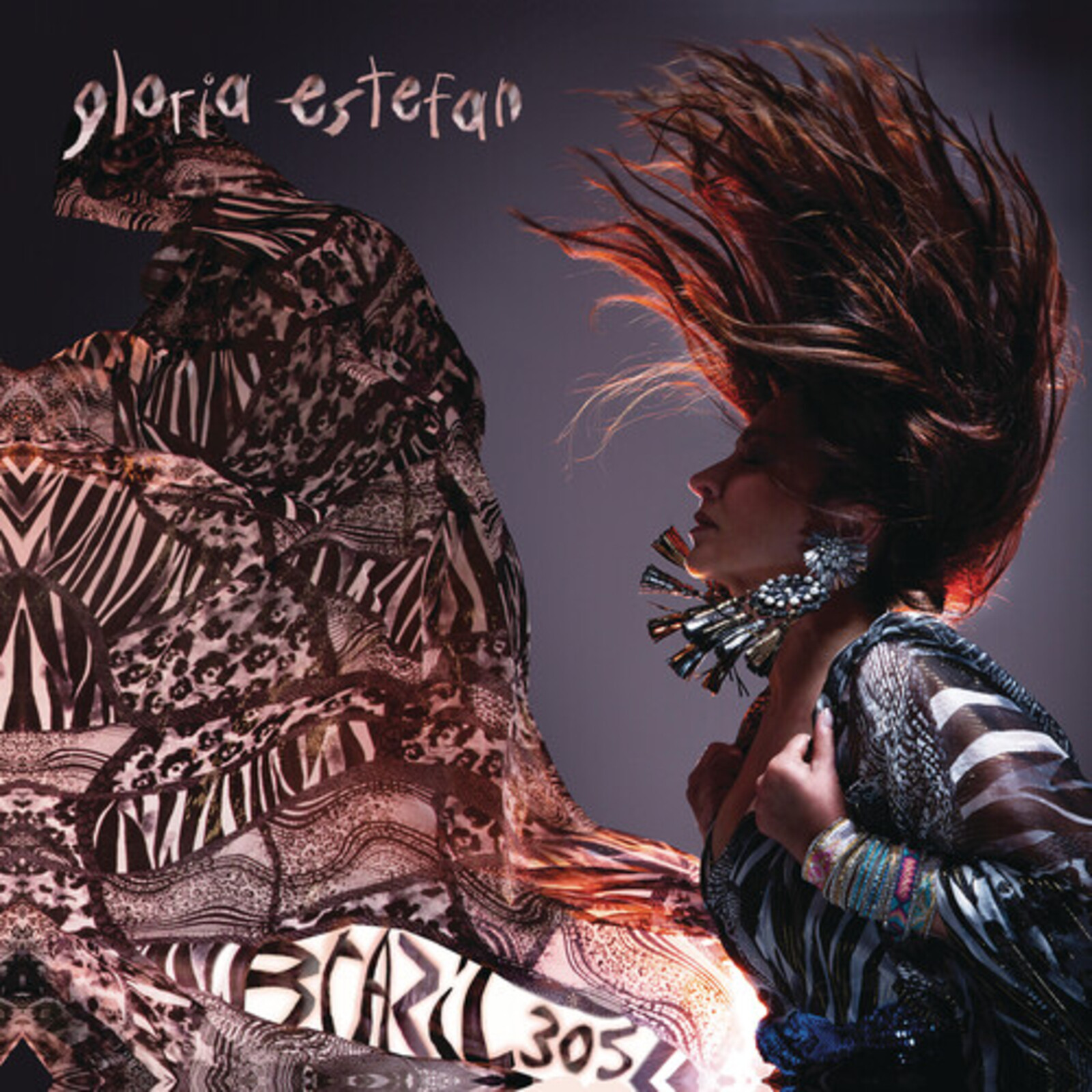 Picture of Gloria Estefan - Brazil305