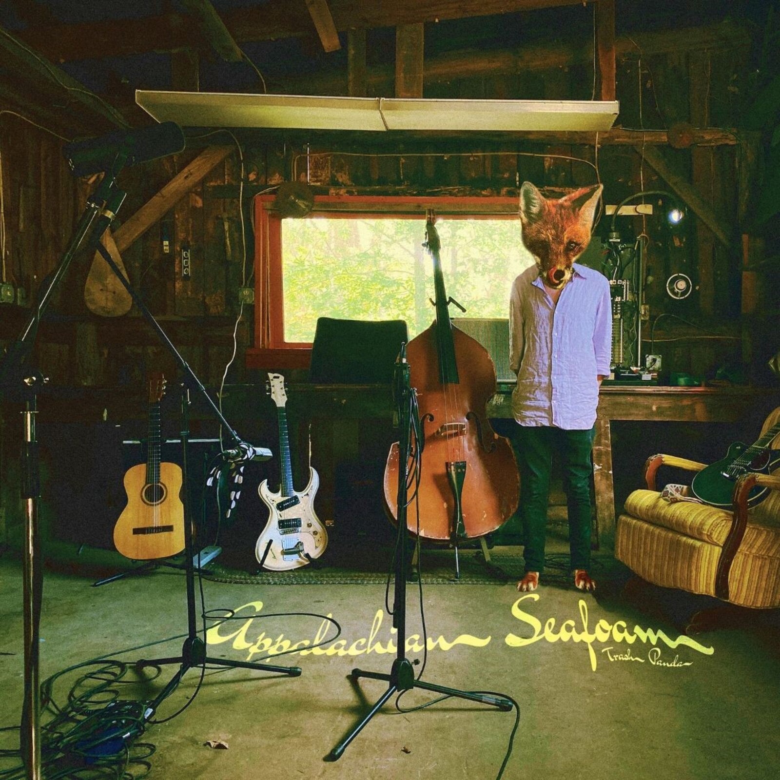 Picture of Trash Panda - Appalachian Sessions (Marigold Vinyl)