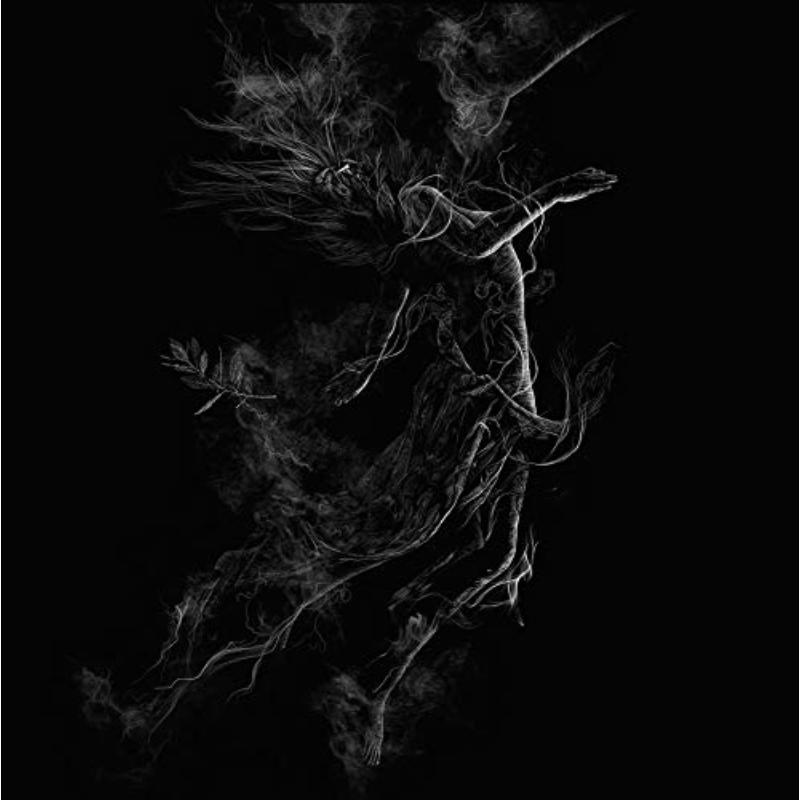 Picture of Jarboe - Illusory