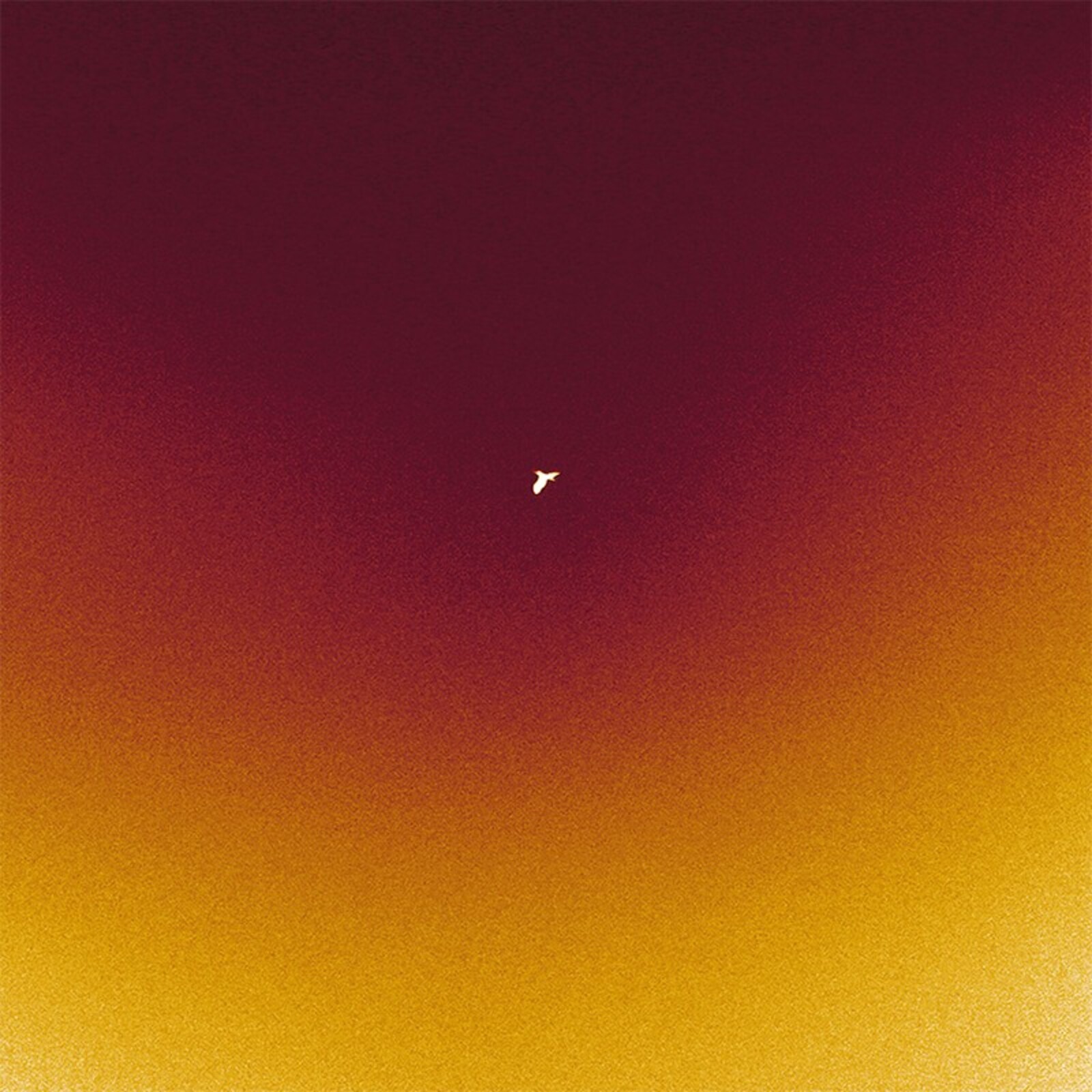 Picture of Galg - Teloorgang