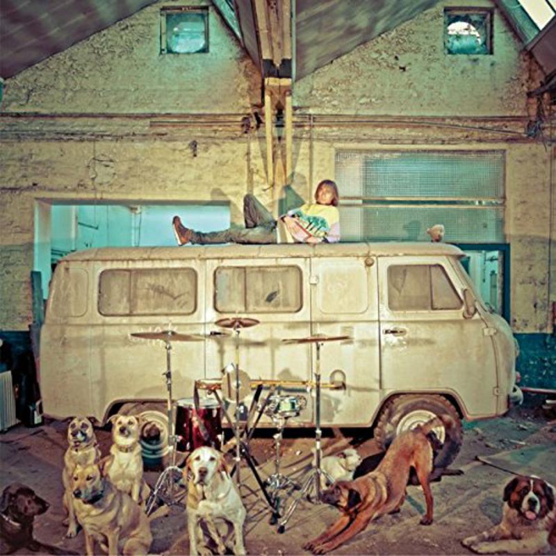 Picture of Us� - Chien D'La Casse
