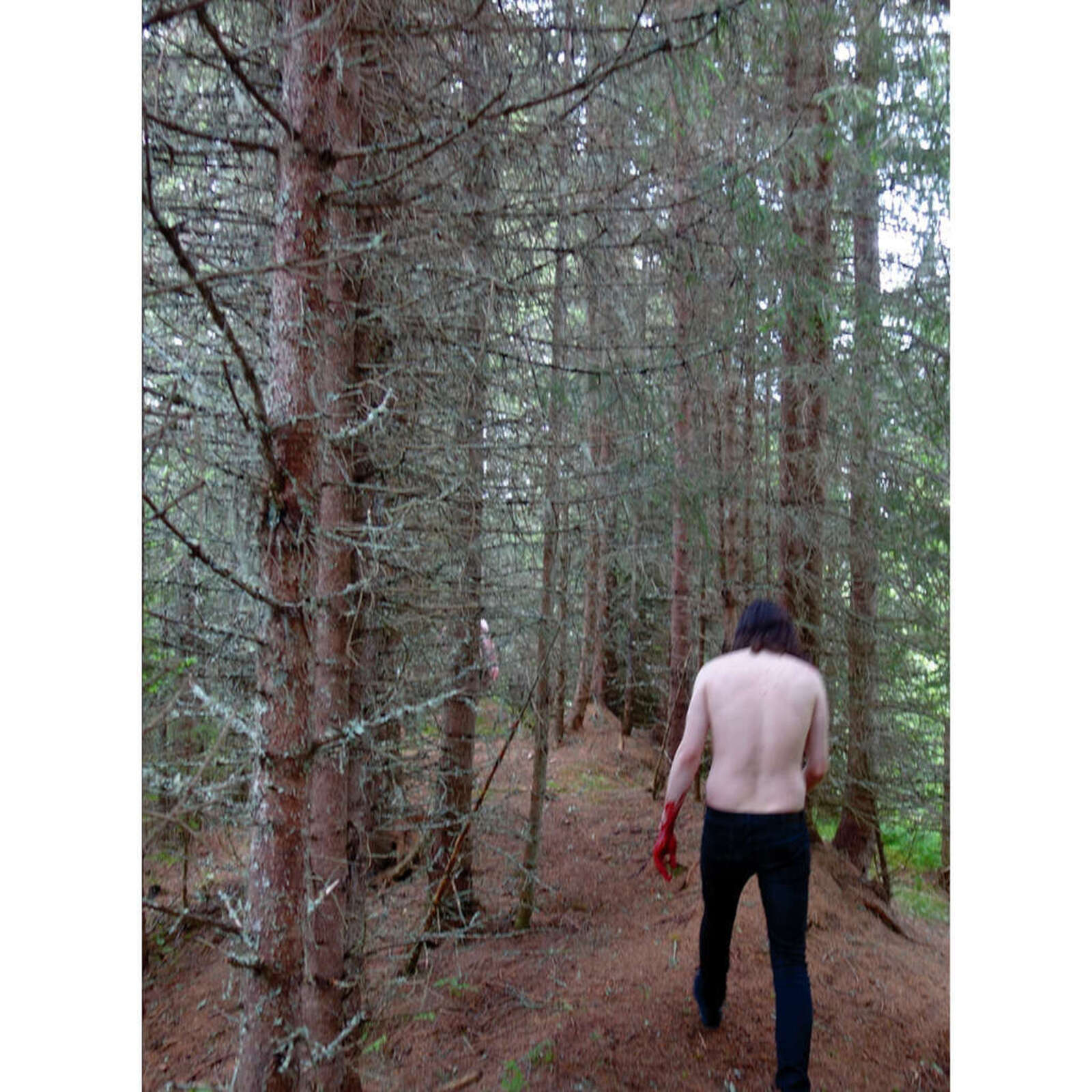 Picture of Gjendod - Nedstigning