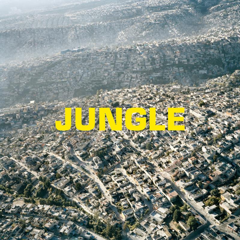 Picture of The Blaze - JUNGLE