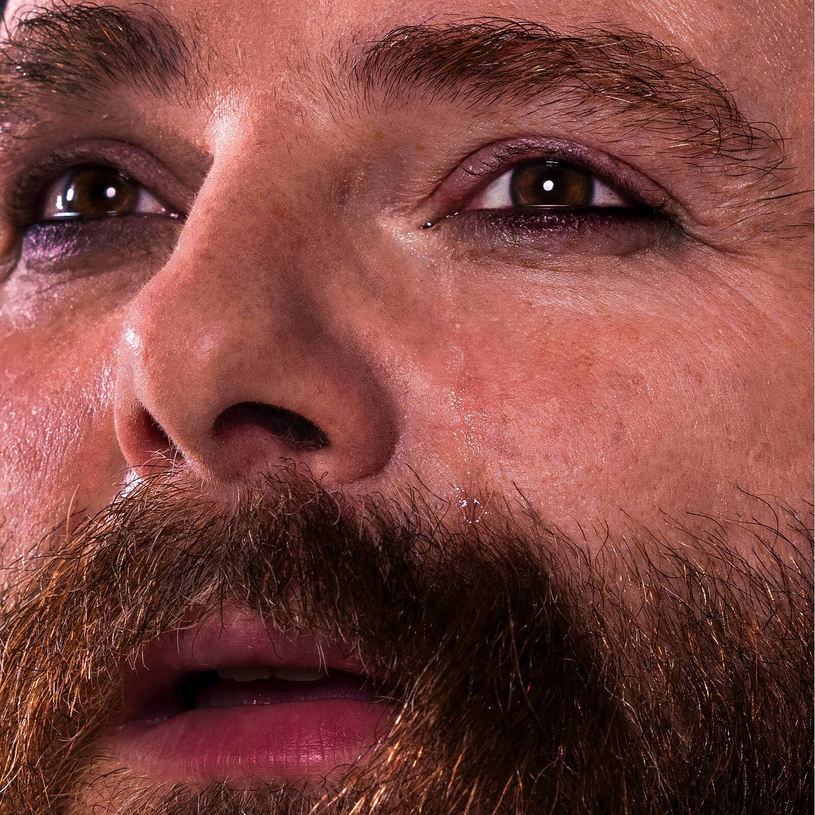 Picture of Thomas de Pourquery - Let the Monster Fall