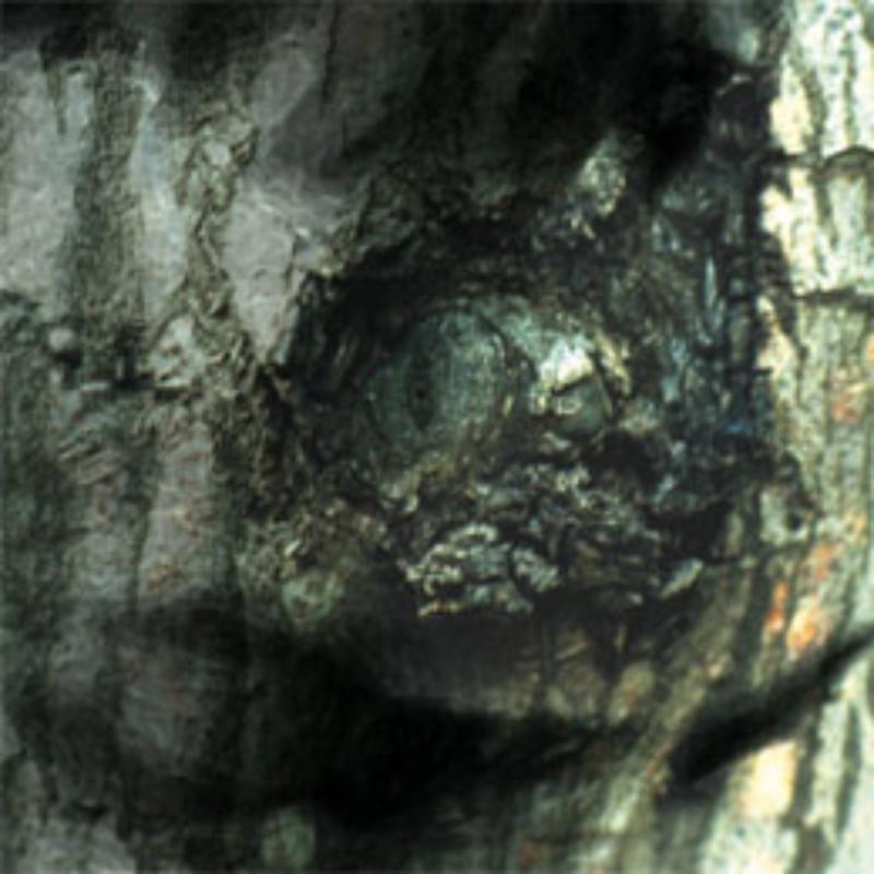 Picture of Yann Tiersen - Valse Des Monstres