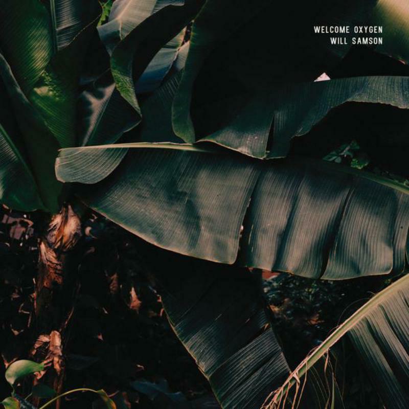 Picture of Will Samson - Welcome Oxygen