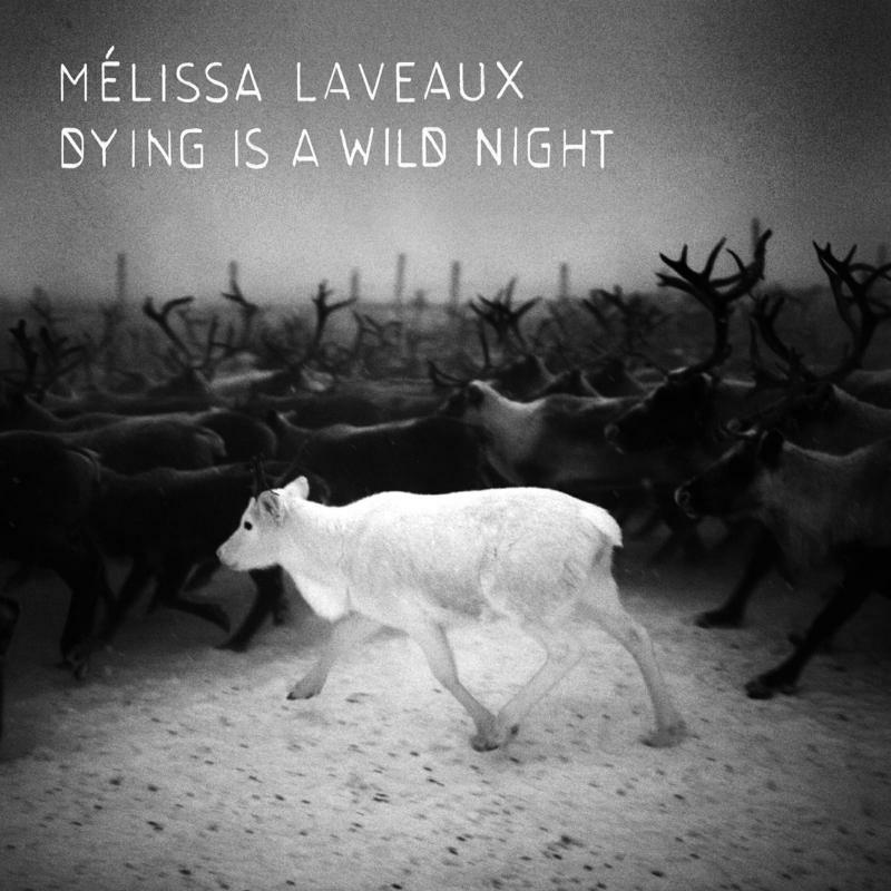Picture of Melissa Laveaux - Dying Is A Wild Night