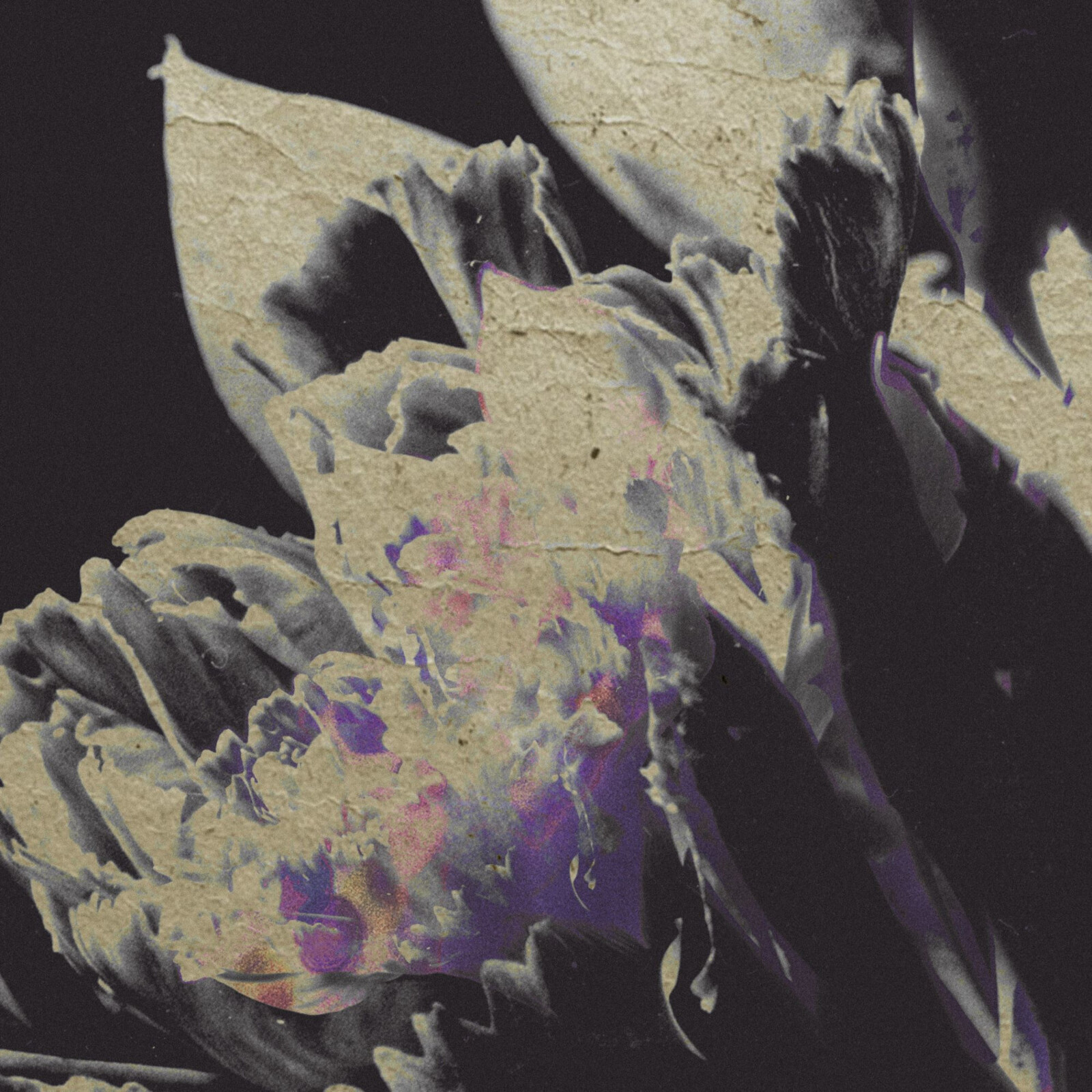 Picture of Various - traversee 04 - moving silhouettes