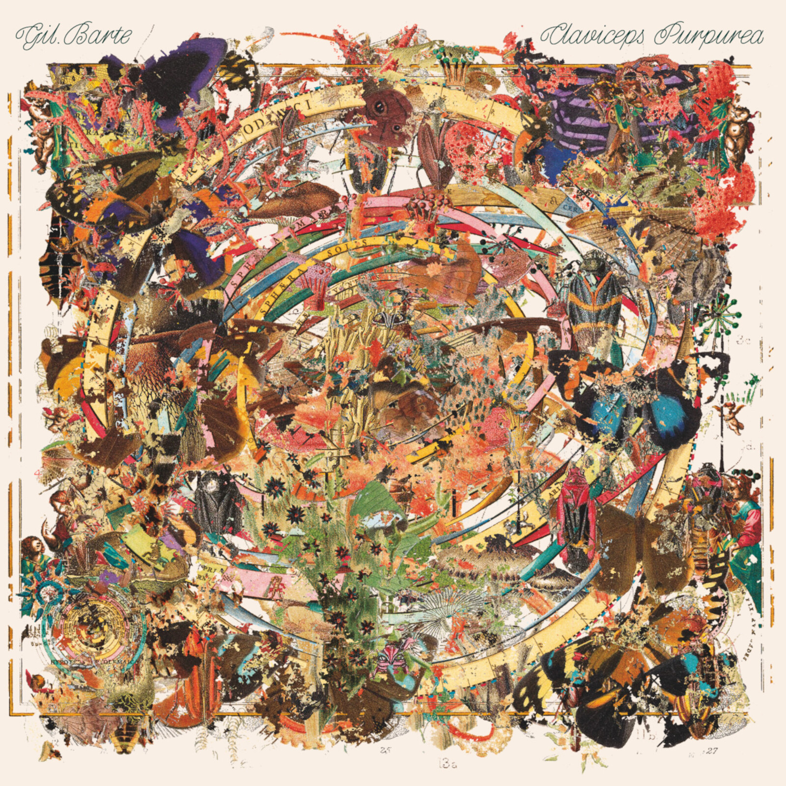 Picture of Gil Barte - Claviceps Purpurea