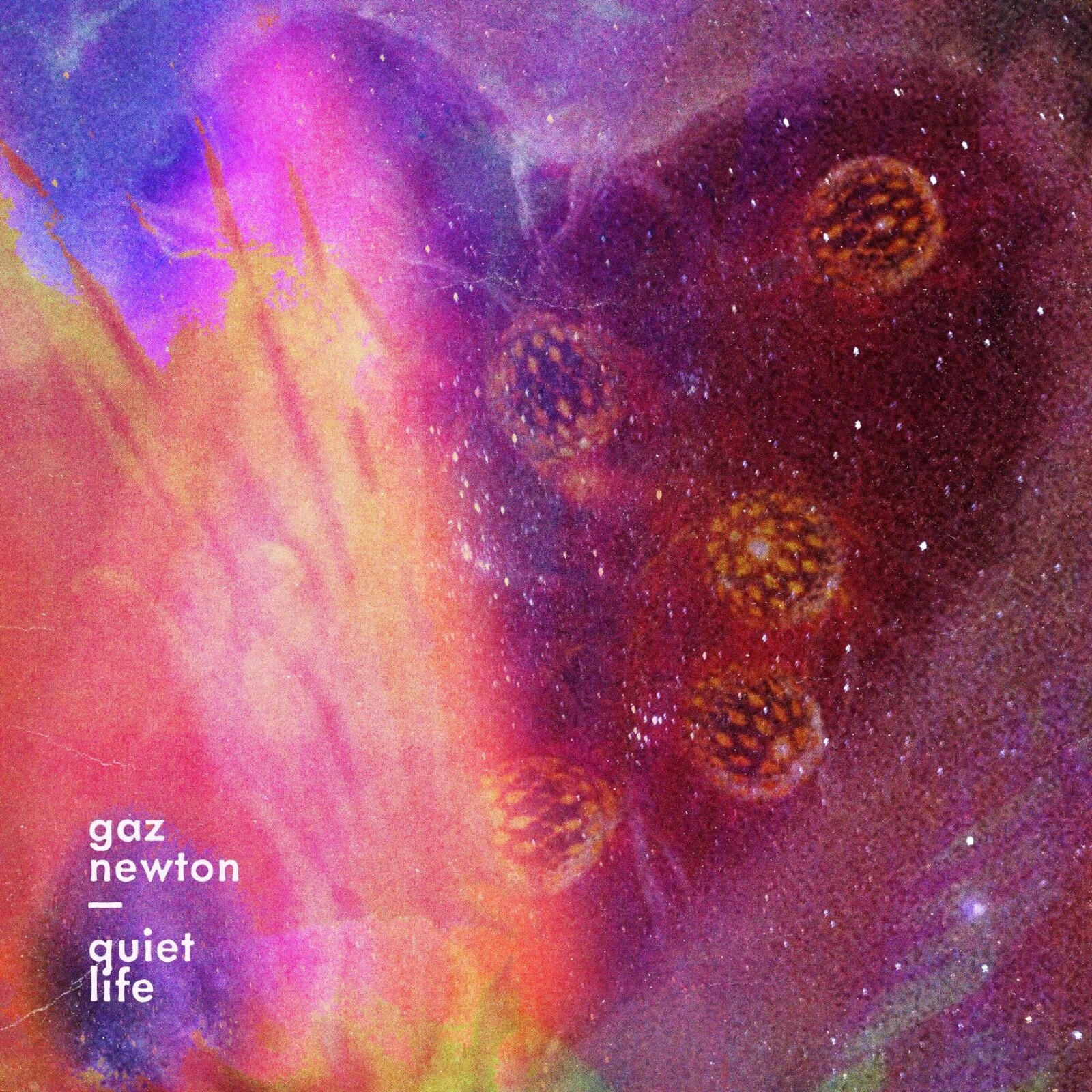 Picture of Gaz Newton - Quiet Life