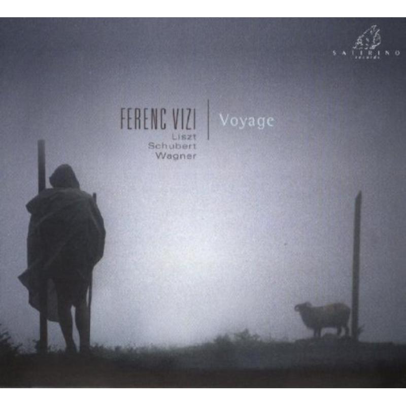Picture of F.Vizi - Voyage