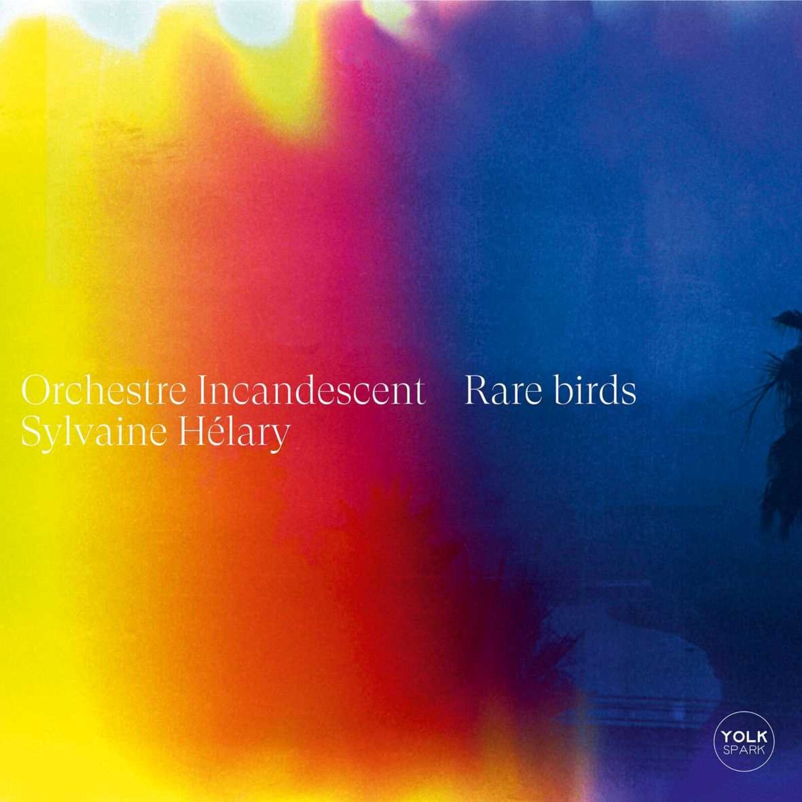 Picture of Sylvaine Helary & Orchestre Incandescent - Rare Birds