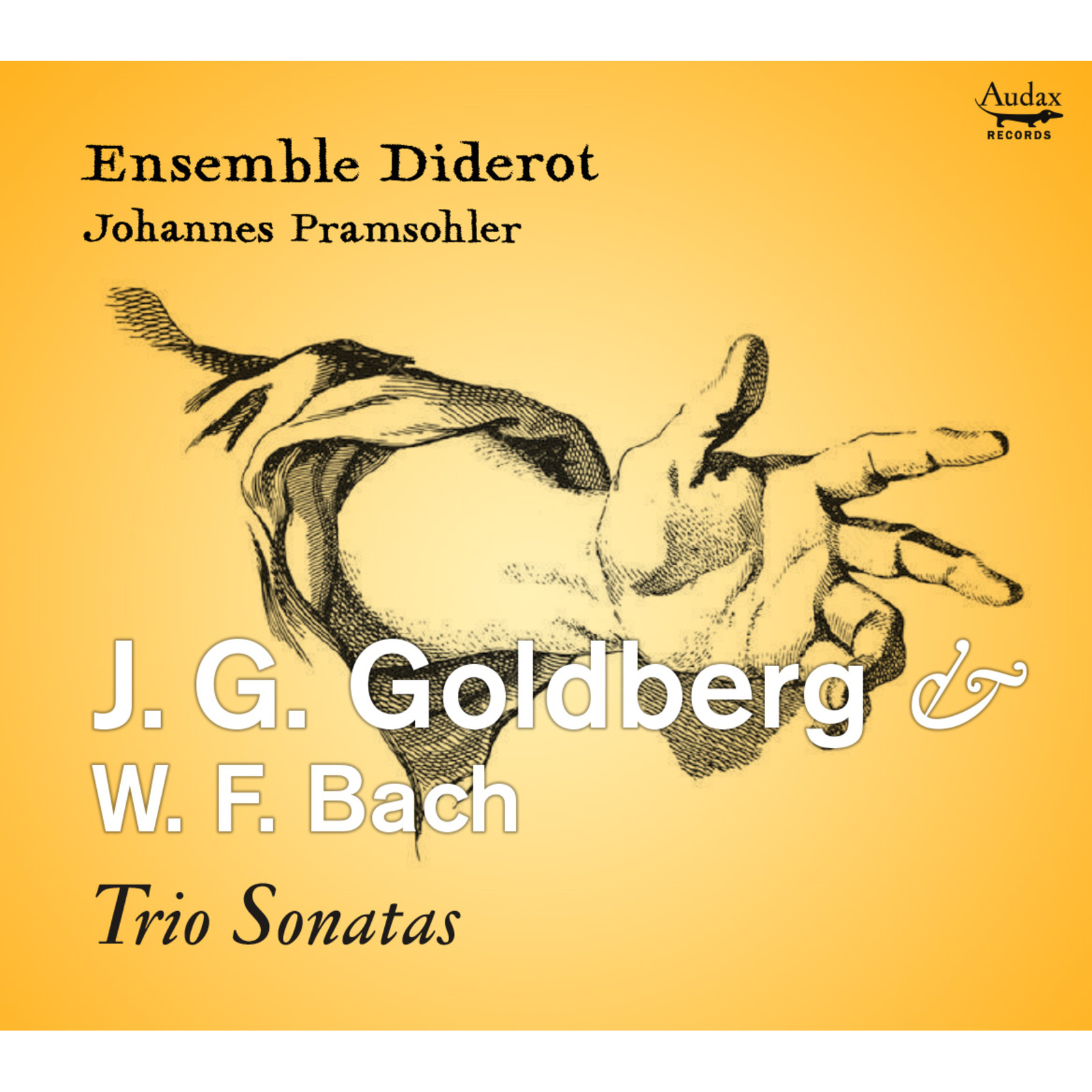 Picture of Ensemble Diderot, Johannes Pramsohler - J.G. Goldberg & W.F. Bach: Trio Sonatas