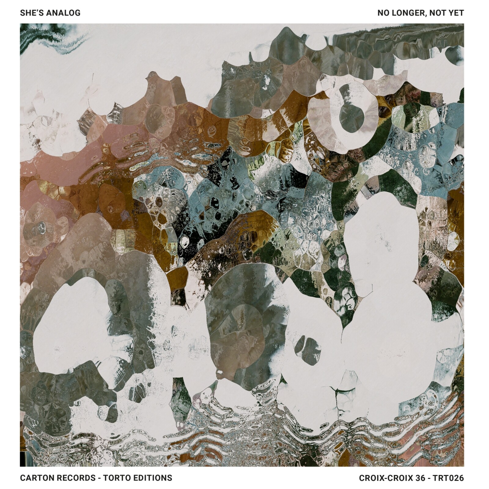 Picture of She's Analog - No longer, not yet