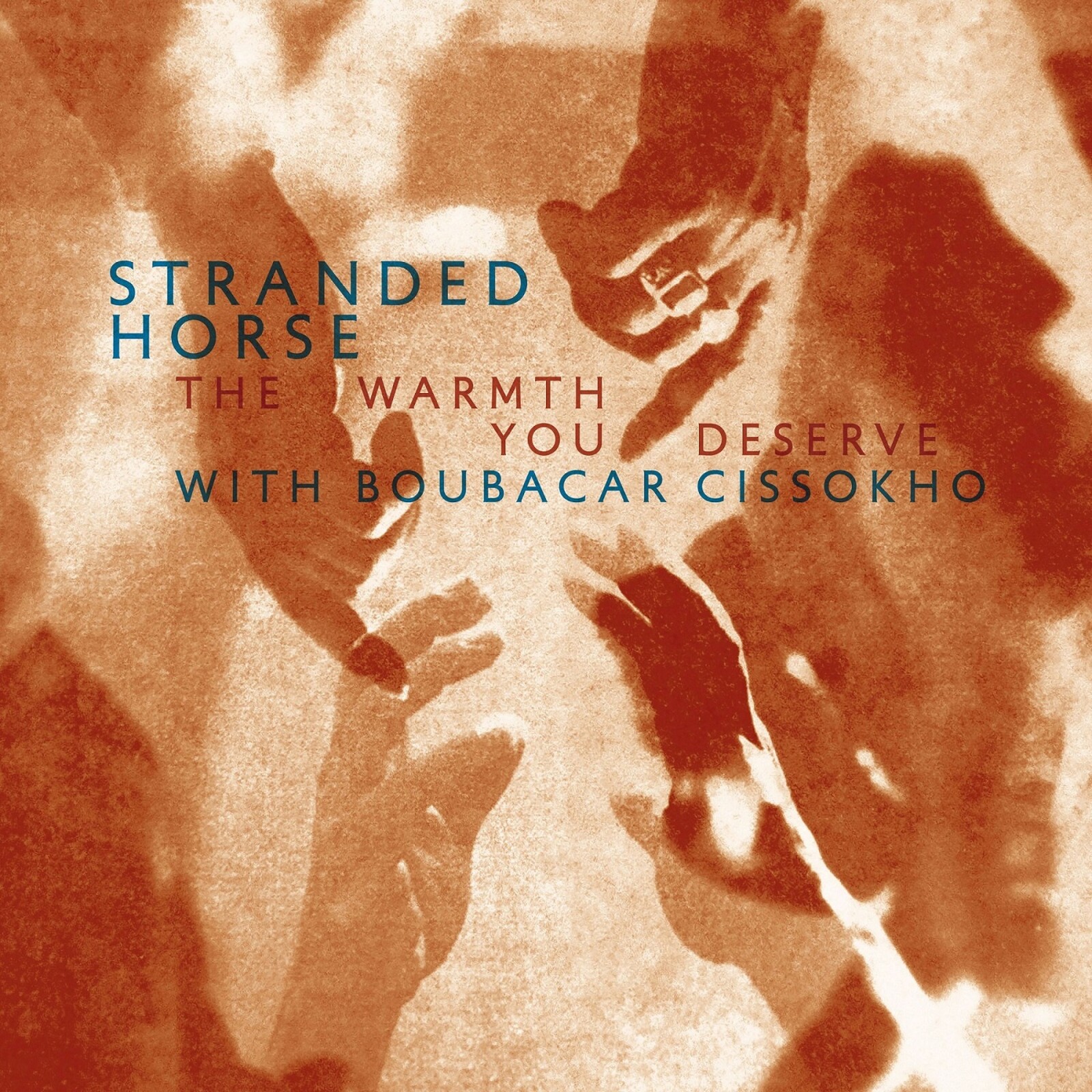 Picture of Stranded Horse - The Warmth You Deserve