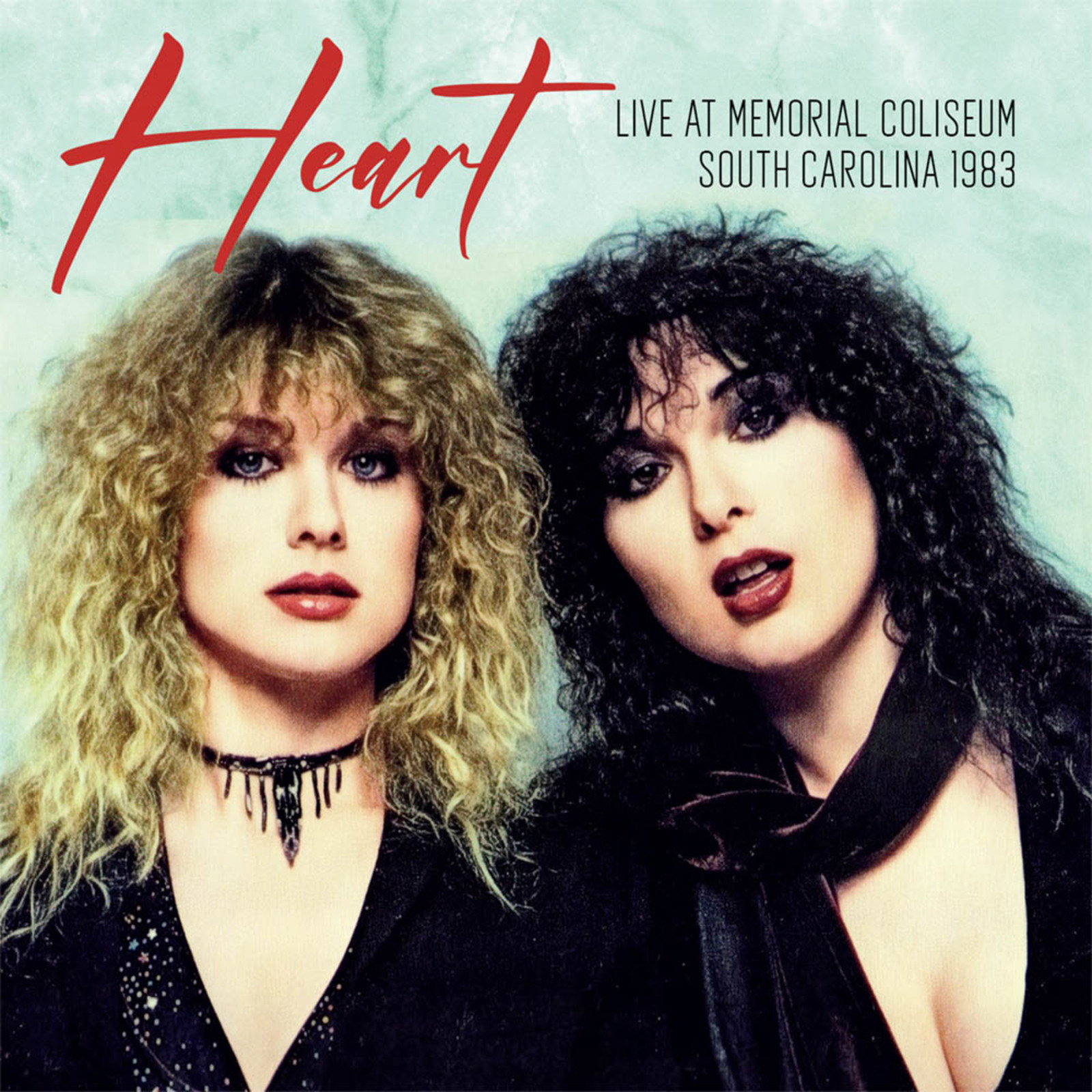 Picture of Heart - Live At The Memorial Coliseum, South Carolina 1983